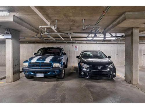 226-355 Taralake Way Ne, Calgary, AB - Indoor Photo Showing Garage