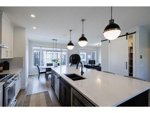 24 Royal Elm Green Nw, Calgary, AB - Indoor Photo Showing Kitchen With Double Sink With Upgraded Kitchen