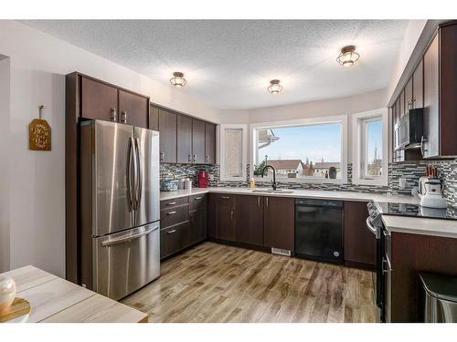 422 Strathcona Circle, Strathmore, AB - Indoor Photo Showing Kitchen With Double Sink