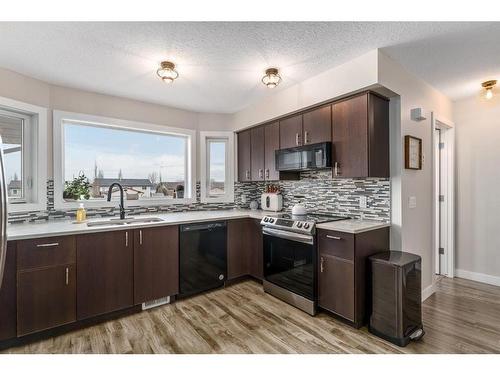 422 Strathcona Circle, Strathmore, AB - Indoor Photo Showing Kitchen With Double Sink With Upgraded Kitchen