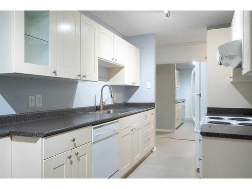 108-3420 50 Street Nw, Calgary, AB - Indoor Photo Showing Kitchen