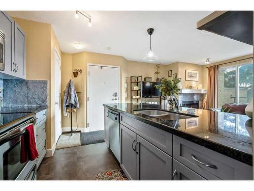 3-203 Village Terrace Sw, Calgary, AB - Indoor Photo Showing Kitchen With Double Sink