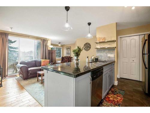 3-203 Village Terrace Sw, Calgary, AB - Indoor Photo Showing Kitchen