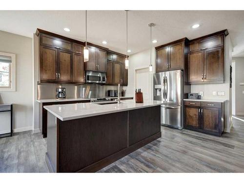 14 Chapalina Green Se, Calgary, AB - Indoor Photo Showing Kitchen With Upgraded Kitchen