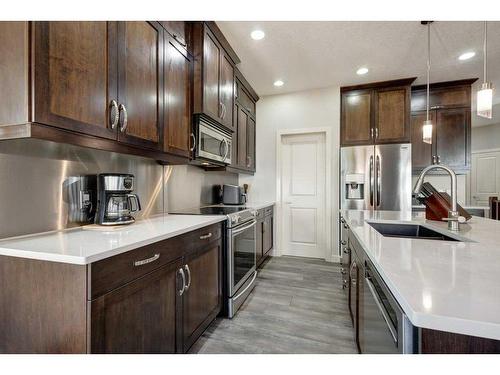 14 Chapalina Green Se, Calgary, AB - Indoor Photo Showing Kitchen With Upgraded Kitchen