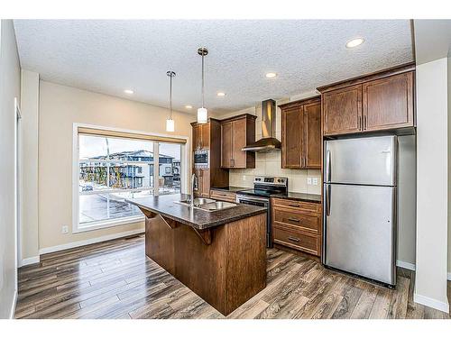 541 Savanna Boulevard Ne, Calgary, AB - Indoor Photo Showing Kitchen With Double Sink With Upgraded Kitchen