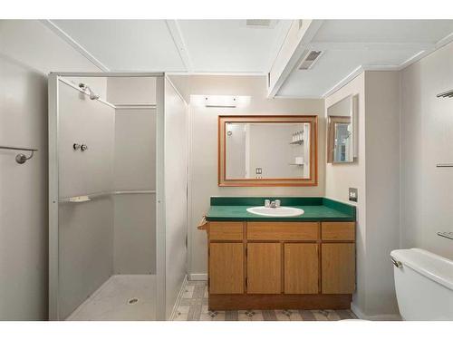 32 Maplewood Green, Strathmore, AB - Indoor Photo Showing Bathroom