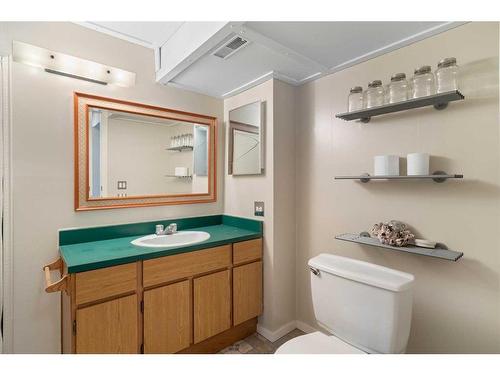 32 Maplewood Green, Strathmore, AB - Indoor Photo Showing Bathroom