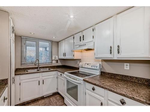 702-360 Falconridge Crescent Ne, Calgary, AB - Indoor Photo Showing Kitchen With Double Sink