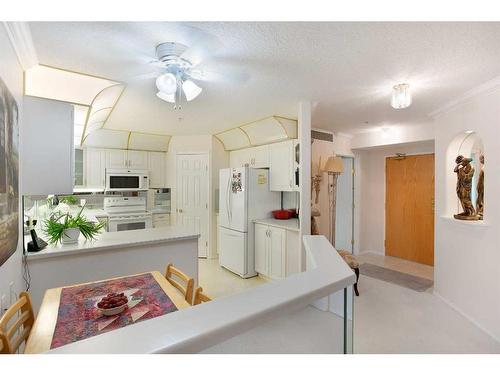 249-8535 Bonaventure Drive Se, Calgary, AB - Indoor Photo Showing Kitchen