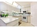 249-8535 Bonaventure Drive Se, Calgary, AB  - Indoor Photo Showing Kitchen With Double Sink 