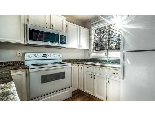 100-630 Sabrina Road Sw, Calgary, AB - Indoor Photo Showing Kitchen With Double Sink