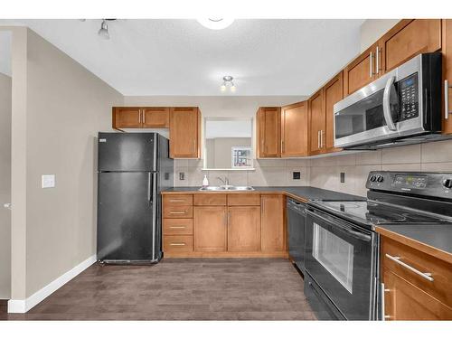 113 Panatella Road Nw, Calgary, AB - Indoor Photo Showing Kitchen With Double Sink