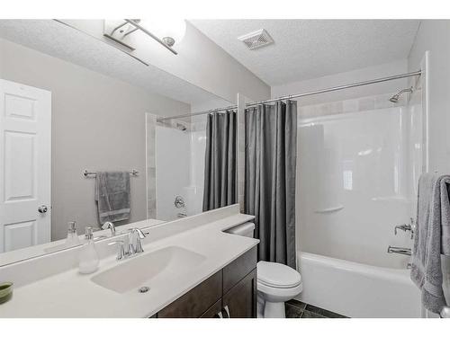 2486 Ravenswood View Se, Airdrie, AB - Indoor Photo Showing Bathroom