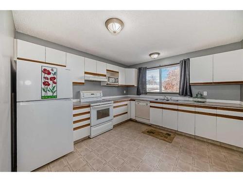 7006B Bowness Road Nw, Calgary, AB - Indoor Photo Showing Kitchen With Double Sink