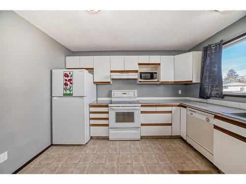 7006B Bowness Road Nw, Calgary, AB - Indoor Photo Showing Kitchen