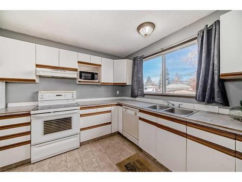 7006B Bowness Road Nw, Calgary, AB - Indoor Photo Showing Kitchen With Double Sink