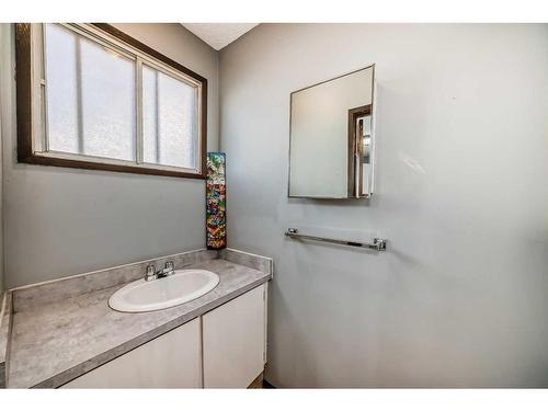 7006B Bowness Road Nw, Calgary, AB - Indoor Photo Showing Bathroom