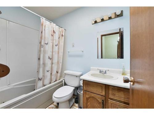 1052 Abbeydale Drive Ne, Calgary, AB - Indoor Photo Showing Bathroom