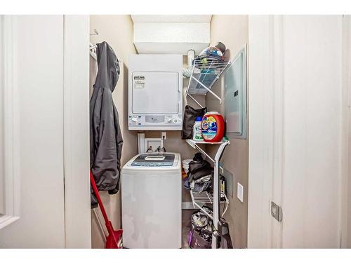 304-23 Millrise Drive Sw, Calgary, AB - Indoor Photo Showing Laundry Room