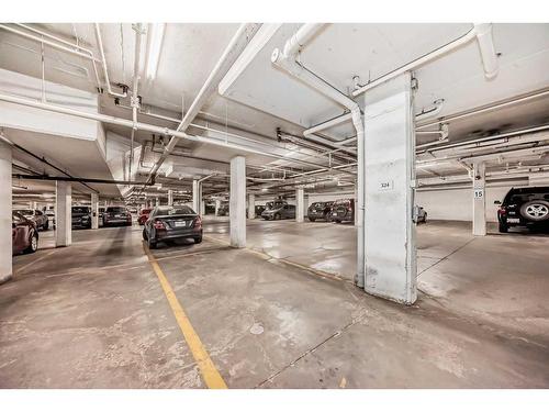 304-23 Millrise Drive Sw, Calgary, AB - Indoor Photo Showing Garage