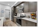 134 Masters Row Se, Calgary, AB  - Indoor Photo Showing Kitchen With Upgraded Kitchen 