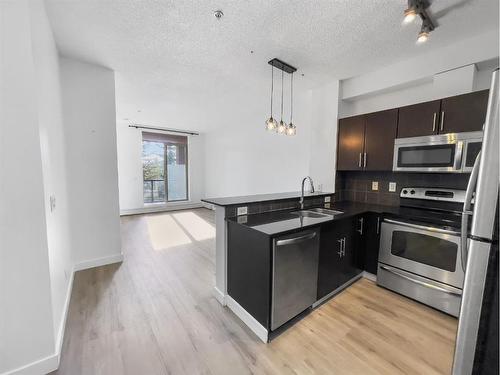 226-2727 28 Avenue Se, Calgary, AB - Indoor Photo Showing Kitchen With Stainless Steel Kitchen