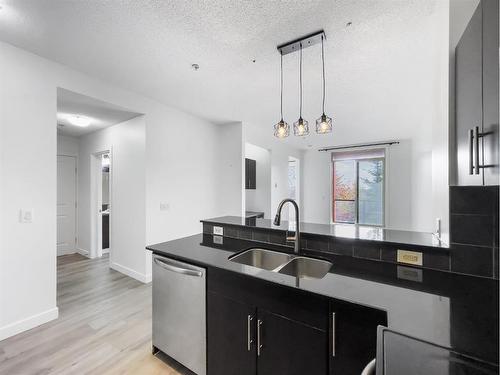 226-2727 28 Avenue Se, Calgary, AB - Indoor Photo Showing Kitchen With Double Sink