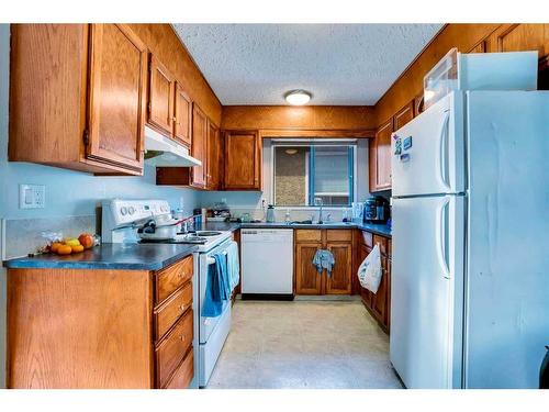 165 Castlebrook Way Ne, Calgary, AB - Indoor Photo Showing Kitchen With Double Sink