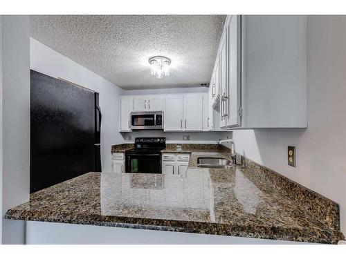 206-234 5 Avenue Ne, Calgary, AB - Indoor Photo Showing Kitchen With Double Sink