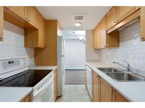 1407-738 3 Avenue Sw, Calgary, AB - Indoor Photo Showing Kitchen With Double Sink