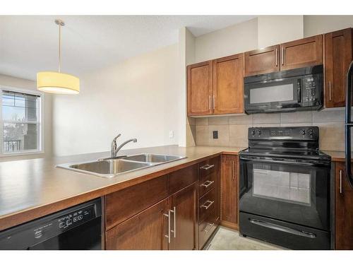 301-22 Panatella Road Nw, Calgary, AB - Indoor Photo Showing Kitchen With Double Sink