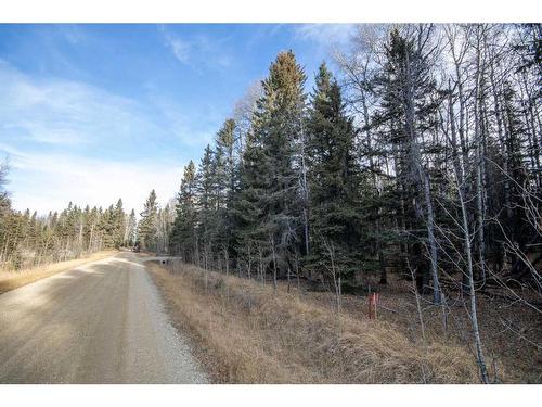 Range Road 5.2, Rural Mountain View County, AB 