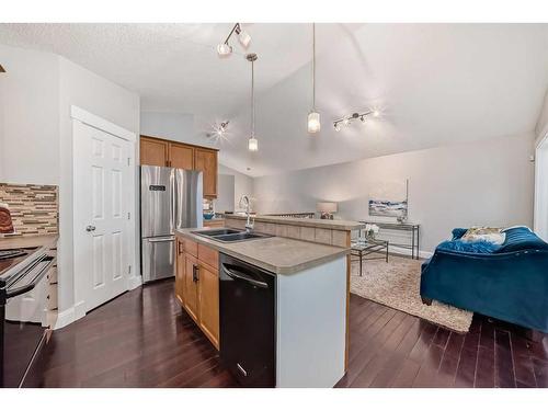 113 Copperfield Mews Se, Calgary, AB - Indoor Photo Showing Kitchen With Double Sink With Upgraded Kitchen