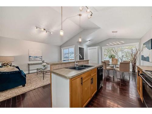 113 Copperfield Mews Se, Calgary, AB - Indoor Photo Showing Kitchen With Double Sink