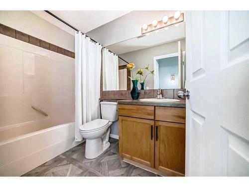 113 Copperfield Mews Se, Calgary, AB - Indoor Photo Showing Bathroom