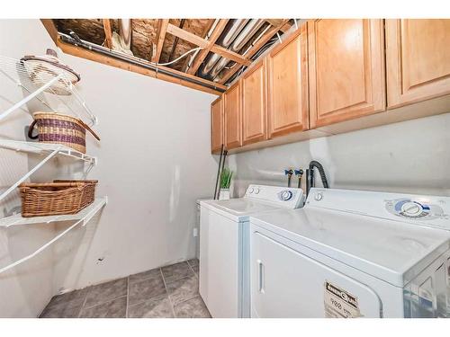 113 Copperfield Mews Se, Calgary, AB - Indoor Photo Showing Laundry Room