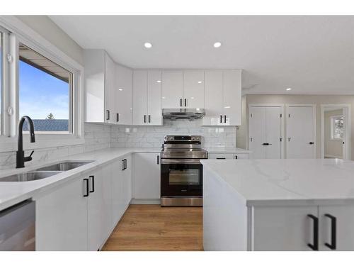 208 Whitehorn Crescent Ne, Calgary, AB - Indoor Photo Showing Kitchen With Double Sink With Upgraded Kitchen