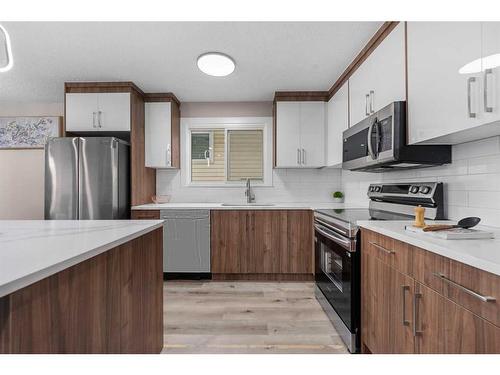 238 Maunsell Close Ne, Calgary, AB - Indoor Photo Showing Kitchen With Stainless Steel Kitchen