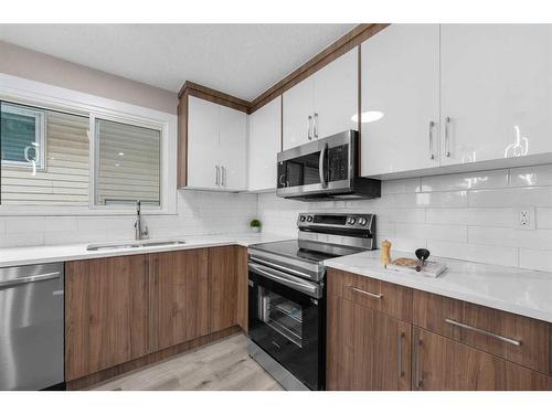 238 Maunsell Close Ne, Calgary, AB - Indoor Photo Showing Kitchen With Double Sink