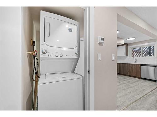 238 Maunsell Close Ne, Calgary, AB - Indoor Photo Showing Laundry Room