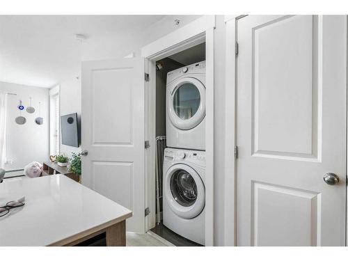 6406-302 Skyview Ranch Drive Ne, Calgary, AB - Indoor Photo Showing Laundry Room