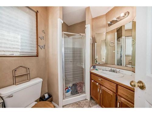 174 Donnelly Crescent, Red Deer, AB - Indoor Photo Showing Bathroom