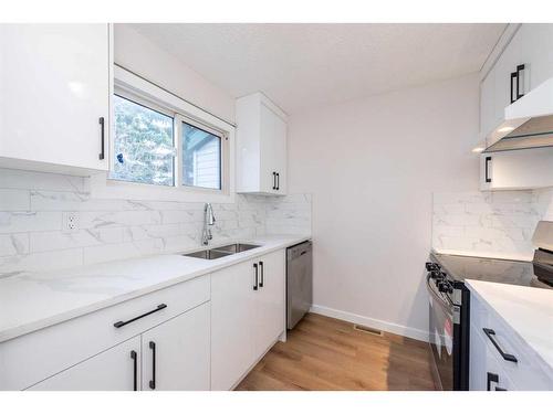 48-131 Templehill Drive Ne, Calgary, AB - Indoor Photo Showing Kitchen With Double Sink