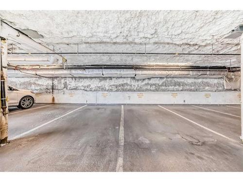 424-4303 1 Street Ne, Calgary, AB - Indoor Photo Showing Garage