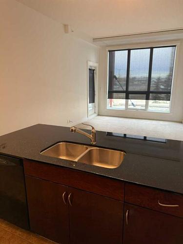 211-8880 Horton Road Sw, Calgary, AB - Indoor Photo Showing Kitchen With Double Sink