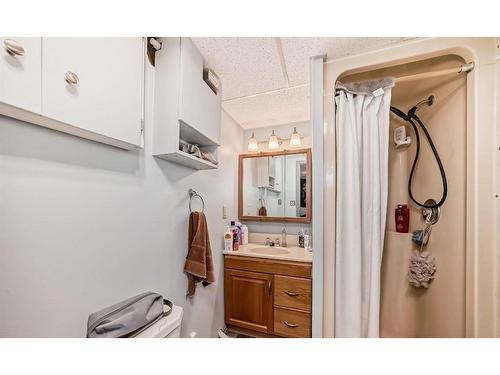 2923 Doverville Crescent Se, Calgary, AB - Indoor Photo Showing Bathroom