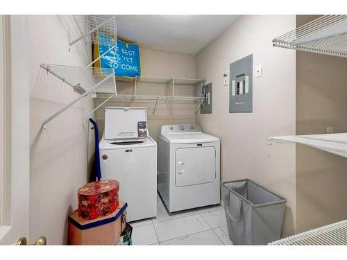 301-705 56 Avenue Sw, Calgary, AB - Indoor Photo Showing Laundry Room