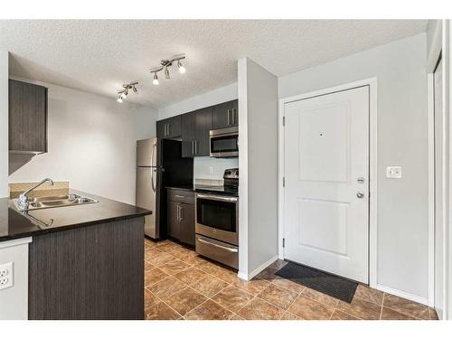 204-5 Saddlestone Way Ne, Calgary, AB - Indoor Photo Showing Kitchen With Double Sink