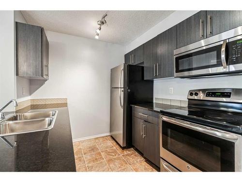 204-5 Saddlestone Way Ne, Calgary, AB - Indoor Photo Showing Kitchen With Double Sink